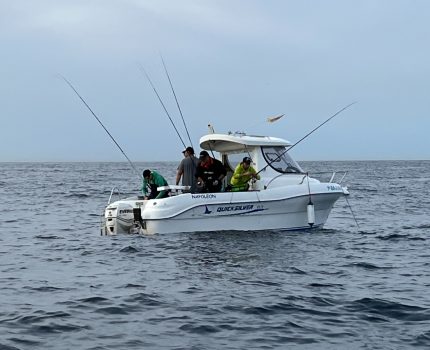 barcas 1 2022